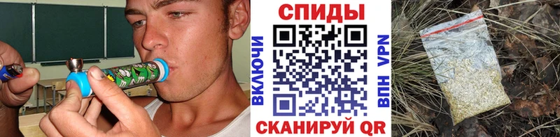 Купить где  Волосово  Бутират BDO 