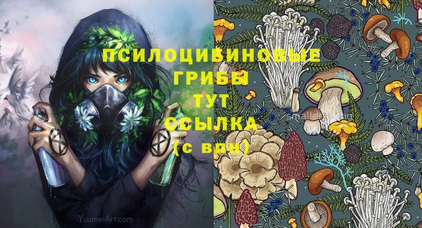 бошки Аркадак