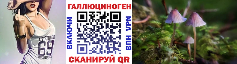 Купить где  Волосово  Псилоцибиновые грибы Psilocybine cubensis 