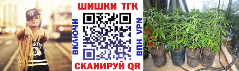 Купить закладки  Волосово  МАРИХУАНА Ganja 